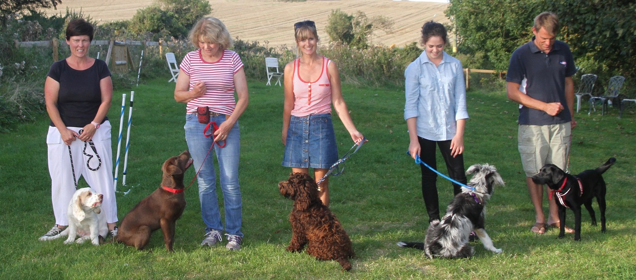 dog trainers isle of wight